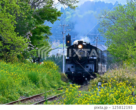 真岡鉄道の蒸気機関車 真岡鉄道の蒸気機関車 125812193