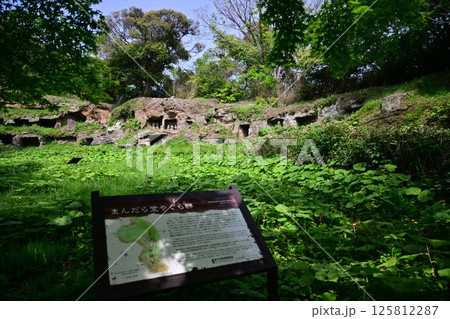 鎌倉まんだら堂 鎌倉まんだら堂 125812287