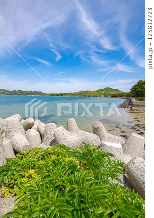 海岸沿いから眺める景色 125812723