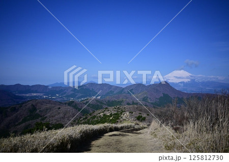 晴天の明神明星ヶ岳と金時山 125812730