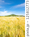 麦畑から眺める山の風景 125812773