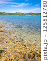 海岸から眺める澄んだ海 125812780