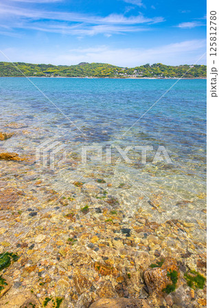 海岸から眺める澄んだ海 125812780