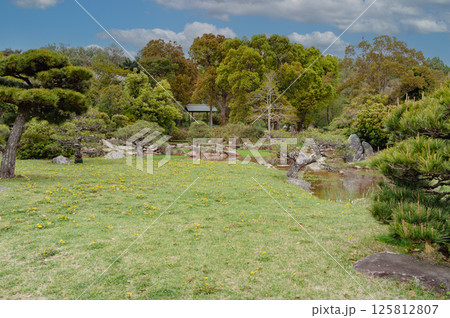 武蔵の庭園乙女池の後ろに東屋を望む風景 125812807