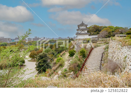 東ノ丸から巽櫓と狭間と二の丸への階段を望む景色 125812822