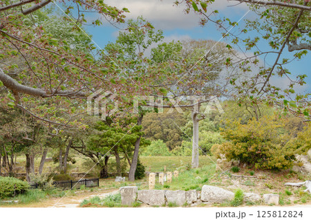 明石城二ノ丸付近の自然 125812824