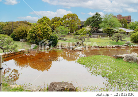 武蔵の庭園の乙女池を中島から南側を望む 125812830