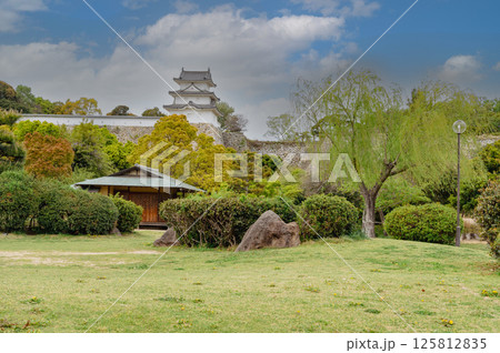 緑が美しい武蔵の庭園の御茶屋と巽櫓 125812835
