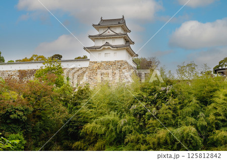 武蔵の庭園の北の端から巽櫓を望む風景 125812842