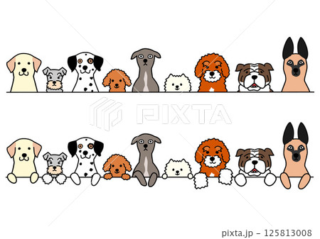 犬の上半身、一列、セット、ボーダー 犬の上半身、一列、セット、ボーダー 125813008