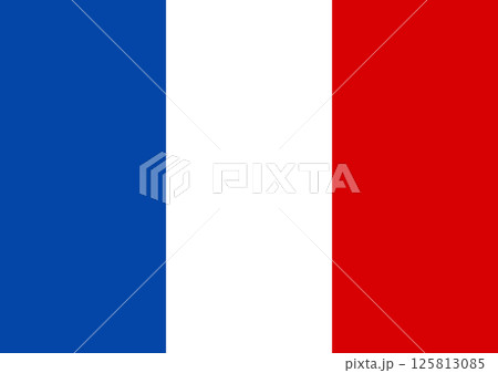 Flag of France vector 125813085