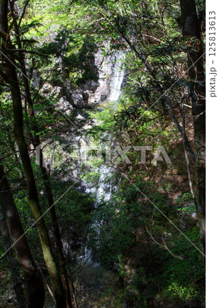 大島の滝（愛知県新城市　東海自然歩道） 125813613