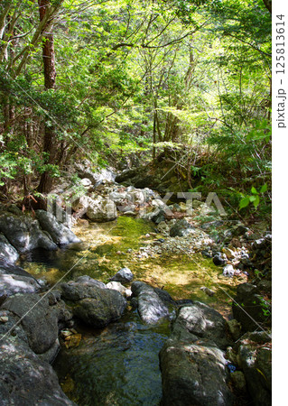 大島の滝　上流（愛知県新城市　東海自然歩道） 125813614