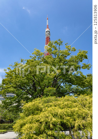 東京タワー周辺 東京タワー周辺 125813906