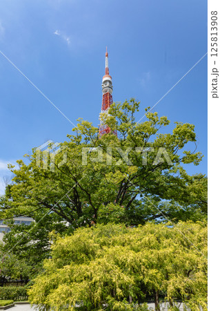 東京タワー周辺 125813908