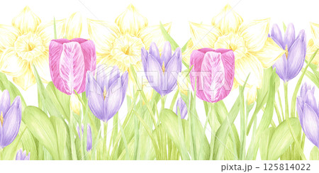 Hand drawn watercolor daffodil crocus and tulip with green leaves bouquet seamless border isolated on white background. Can be used for postcard, textile, scrapbook and other printed products. 125814022