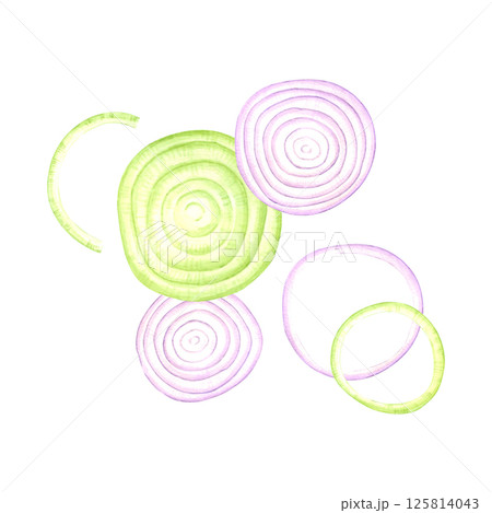 Hand drawn watercolor red and green onion rings composition. Illustration of vegetable isolated on white background. Can be used for label, card, scrapbook and other printed products. Hand drawn watercolor red and green onion rings composition. Illustration of vegetable isolated on white background. Can be used for label, card, scrapbook and other printed products. 125814043