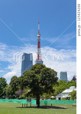 東京タワー周辺 東京タワー周辺 125814288