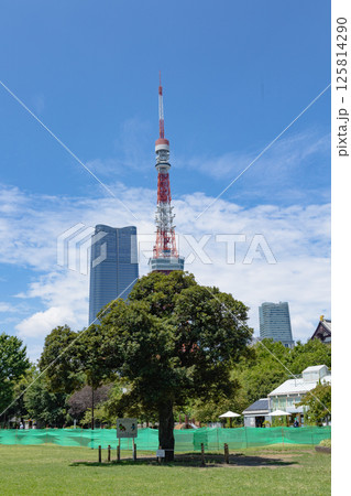 東京タワー周辺 東京タワー周辺 125814290