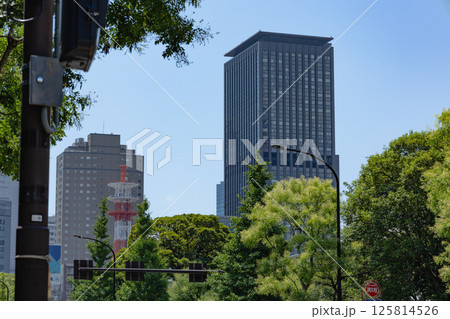 東京タワー周辺 125814526