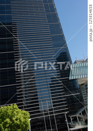 新緑と高層ビルの風景 新緑と高層ビルの風景 125814658