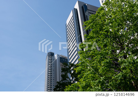 新緑が美しい都会の風景 新緑が美しい都会の風景 125814696