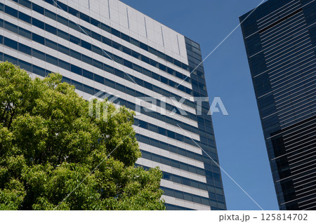 新緑のあるオフィス街の風景 125814702