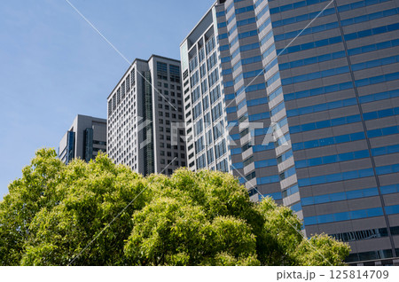 緑のあるオフィス街の風景 125814709