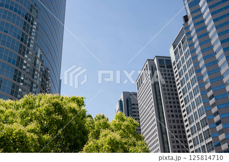 緑のあるオフィス街の風景 125814710