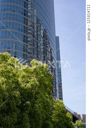 新緑のある都市風景 125814711