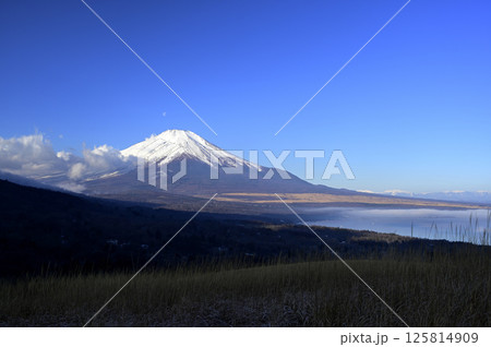 2月、富士の夜明け (撮影地：山中湖村、明神山パノラマ台付近) 125814909