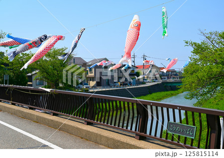 鯉のぼり こうめいばし 高橋川 金沢市横川 鯉のぼり こうめいばし 高橋川 金沢市横川 125815114