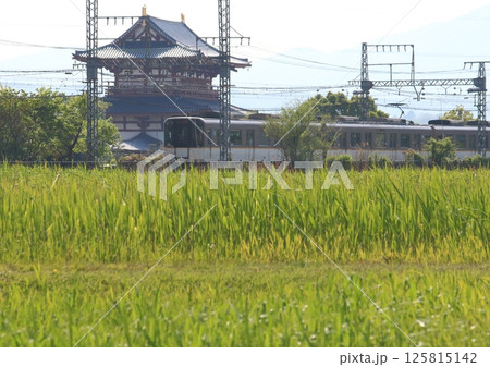 世界遺産平城宮跡朱雀門を横目に走行する近鉄奈良線の電車 世界遺産平城宮跡朱雀門を横目に走行する近鉄奈良線の電車 125815142