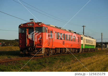 小湊鐵道のキハ40形観光急行「さと山」。2024/11/24 小湊鐵道のキハ40形観光急行「さと山」。2024/11/24 125815179