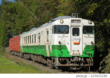 小湊鐵道のキハ40形観光急行「さと山」。2024/11/24 125815180