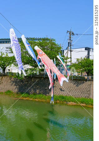 こいのぼり流し 金沢市横川 こいのぼり流し 金沢市横川 125815295