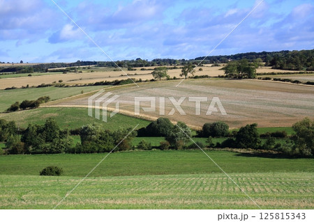 イギリスの田園風景 125815343