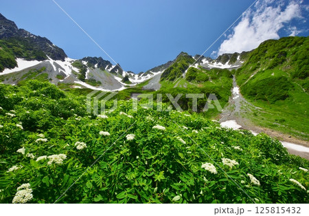 北アルプス 涸沢の夏景色 125815432