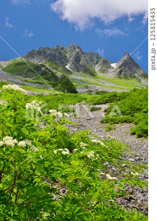 北アルプス 涸沢の夏景色 125815435