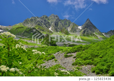 北アルプス 涸沢の夏景色 125815436