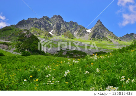 北アルプス 涸沢の夏景色 125815438