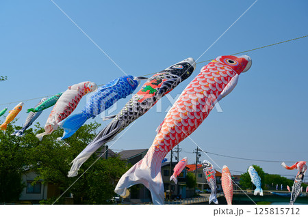 鯉のぼり 季節の風景 鯉のぼり 季節の風景 125815712