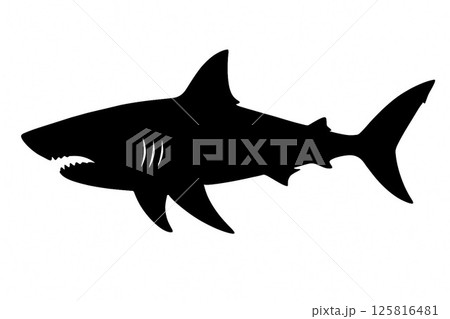 迫力満点！サメのシルエットイラスト 125816481