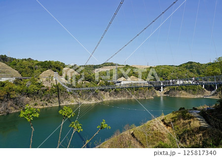 茨木市　安威川ダム　吊り橋とダム湖（全長、晩春） 125817340