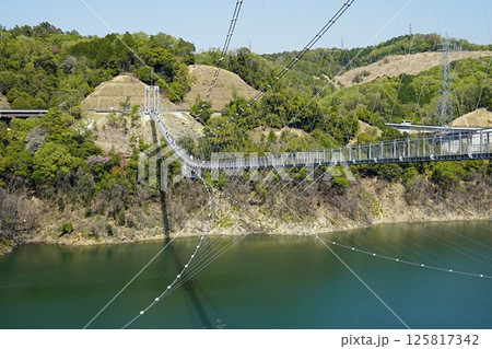 大阪　茨木市　安威川ダム　吊り橋とダム湖（やや全長、晩春） 125817342