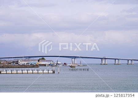 滋賀 大津 浮御堂から見た琵琶湖大橋と堅田漁港(晩春) 滋賀 大津 浮御堂から見た琵琶湖大橋と堅田漁港(晩春) 125817354