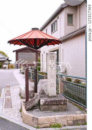 滋賀 大津 坂本城址(晩春) 滋賀 大津 坂本城址(晩春) 125817364