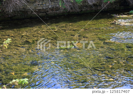 コッツウォルズの風景（Bibury） 125817407