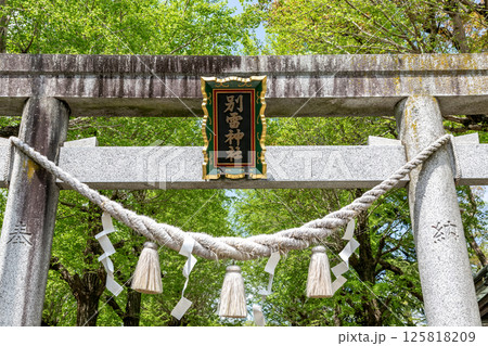 新緑に包まれる関東三雷神社の一つ金村別雷神社の鳥居と扁額 新緑に包まれる関東三雷神社の一つ金村別雷神社の鳥居と扁額 125818209