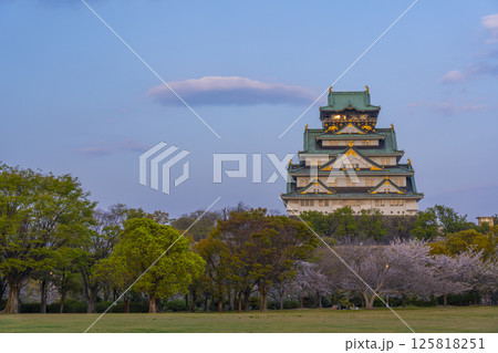 夕日に照らされる大阪城天守閣 桜咲く季節 夕日に照らされる大阪城天守閣 桜咲く季節 125818251